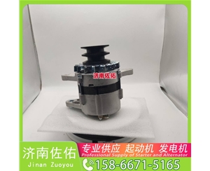 郑州5267909起动机15196041发电机 康明斯 潍柴 WP4.1 中国重汽 豪沃T7H 潍柴 WP9 柳工（LiuGong）压路机 徐工挖机重卡矿车潍柴WP4 神钢 SK330 J08E 启动机